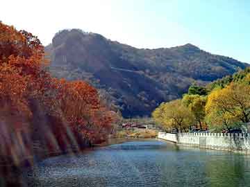 新澳天天开奖资料大全旅游团，芳芳张张